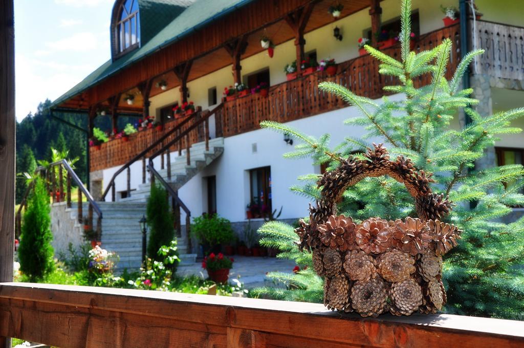 Conacul Domnitei Otel Voronet Dış mekan fotoğraf